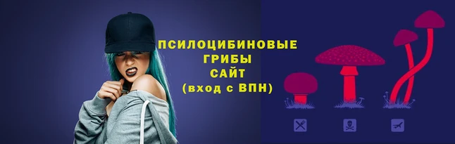 МДПВ Армянск